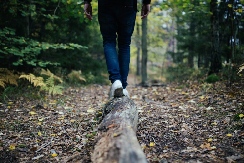 marcher seul en forêt, trouver l'équilibre