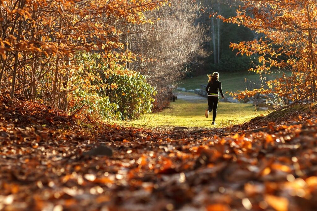 girl, running, forest, autumn, leaves, people, jogger, healthy, athlete, training, women, sport, exercise, person, fitness, run, nature, health, female, jog, outdoors, happy, light, lifestyle, enjoying, brown health, brown fitness, brown exercise, brown training, brown running, brown healthy, brown workout, brown sports, brown run, running, running, running, running, running, jogger, jogger, exercise, exercise, exercise, fitness, run, run, run, jog